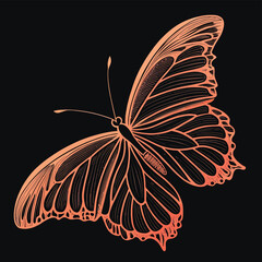 Minimalist Butterfly Vector Art