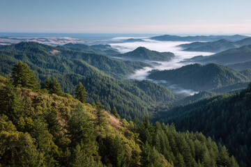 Fototapeta premium explore vibrant summer landscapes and diverse natural beauty across all states in usa