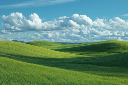 Rolling green hills of a field with a bright blue sky and fluffy white clouds above