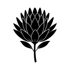  Protea flower silhouette