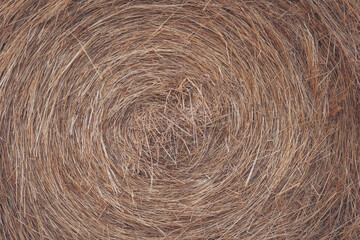 Captivating patterns of dried grass create a mesmerizing swirling design in a sunlit field during the golden hour