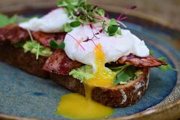 Avocado Toast with Poached Eggs, Bacon and Microgreens – Gourmet Breakfast Close-Up