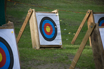 Colorful Archery Targets with Arrows Outdoors in a Grassy Area