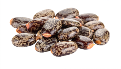 A pile of mottled brown castor beans are beautifully displayed against a solid black backdrop, showcasing their natural texture, transparent background