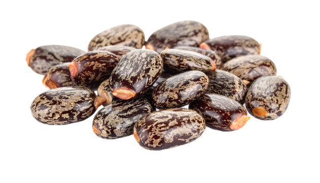 A pile of mottled brown castor beans are beautifully displayed against a solid black backdrop, showcasing their natural texture, transparent background