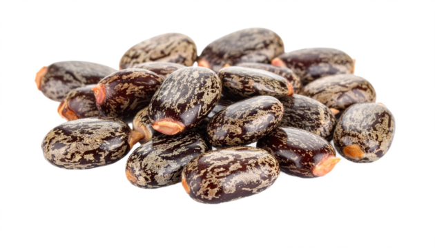 A pile of mottled brown castor beans are beautifully displayed against a solid black backdrop, showcasing their natural texture, transparent background