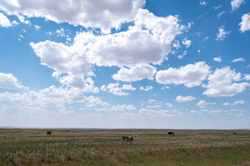 Steppe landscape in the Ili River valley near Almaty, with a beautiful sky in the clouds
