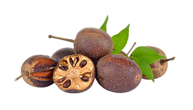 A group of ripe Wood Apple fruits showcases the exotic texture and vibrant leaves against a stark black backdrop, transparent background