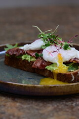 Avocado Toast with Poached Eggs, Bacon and Microgreens – Gourmet Breakfast Close-Up