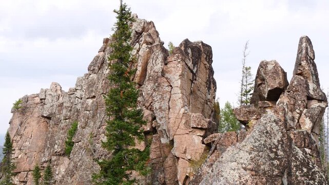 Autumn taiga landscape with trees and rocks.