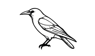 Obraz premium Minimal Crow Outline Vector – Clean Side View Bird Line Drawing