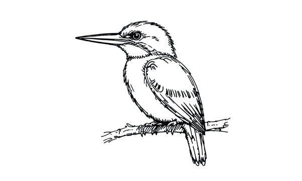 Minimal Kingfisher Outline Vector &ndash; Elegant Bird Perched on Branch Line Art
