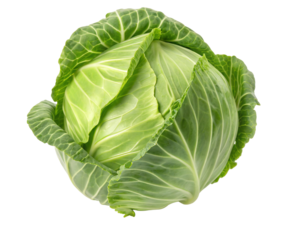 Fresh green cabbage isolated on white background healthy vegetable for versatile culinary uses