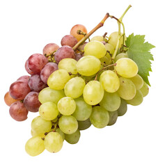 Grapes realistic fruit isolated on transparent background  
