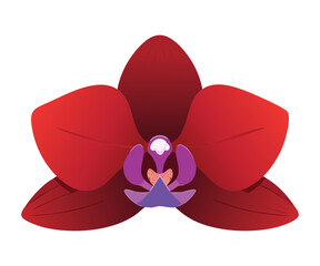 Intense Dark Red Orchid Blossom Artwork
