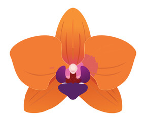 Deep Orange Orchid Blossom Botanical Illustration