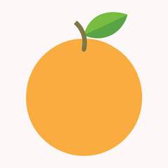orange fruit vector illustration