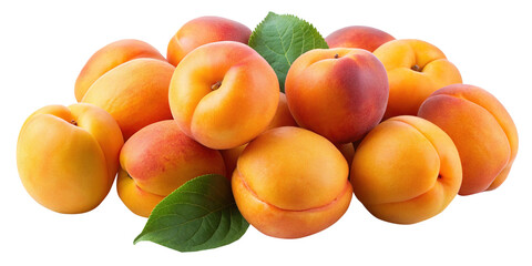 Pile of vibrant, fresh apricots with leaves isolated on a white background