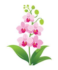 Delicate Pink Orchid Flower Botanical Illustration