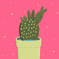 Cactus plants on pink background, vector