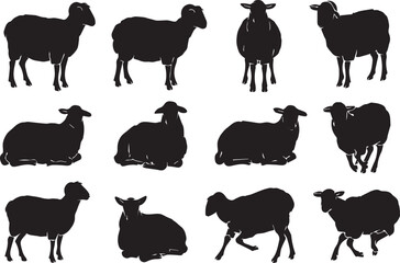 Obraz premium A Bundle of Black Sheep Silhouette on White Background