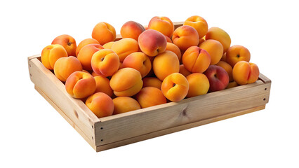 A Crate Full of Fresh Apricots Ready for Summer Baking or Eating