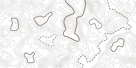 Luxury gold abstract topographic map background with golden lines texture. packaging , web, geographic grid map vector illustration