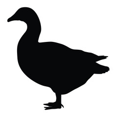 Farm Animal Goose side view, silhouette vector flat Illustration design on white background