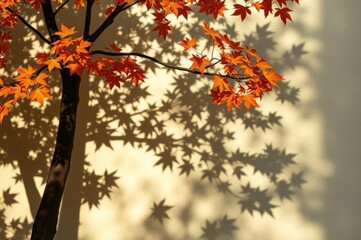 Fototapeta premium Autumn Shadows of Maple Leaves
