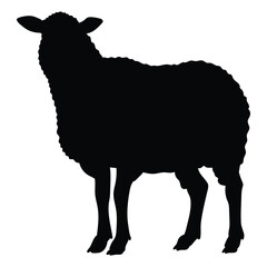 Farm Animal Sheep side view, silhouette vector flat Illustration design on white background