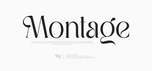 Modern Luxury Beauty Font Uppercase Lowercase and Number. Typography beautiful minimal elegant classic letter serif fonts fashion wedding vintage retro logos. vector illustration
