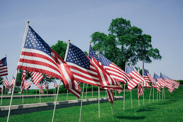 American flags line a park on Memorial Day.
