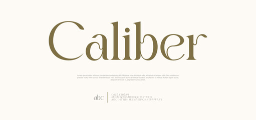 Luxury Beauty Font Uppercase Lowercase and Number. Typography beautiful fashion elegant classic letters serif italic fonts wedding vintage retro casters logos. vector illustration
