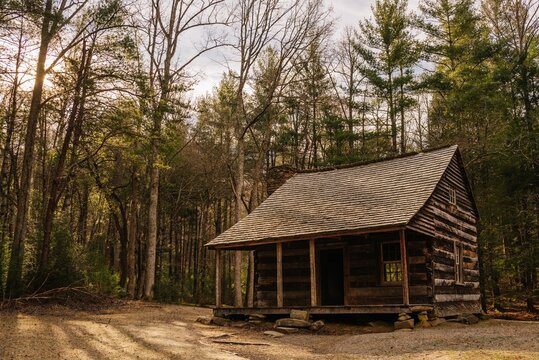 Rustic cabin in a tranquil forest.