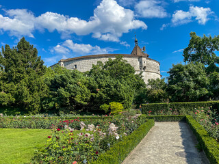 formal rose garden with round fortress tower Munot in background