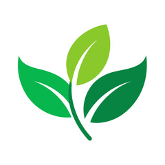 green leaf icon vector 