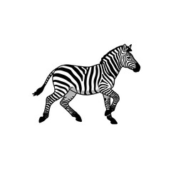 African Plains Wildlife Illustration