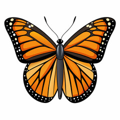 Obraz premium Detailed illustration of a monarch butterfly with orange wings isolated on white background
