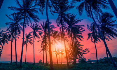 Obraz premium Silhouette coconut palm trees on beach at sunset. Vintage tone.