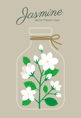 Set of Hand-Drawn Jasmine Flowers with Blooms, Buds, and Leaves in flat glass bottle with thread