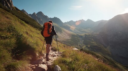 The hiker conquering a mountain trail under sunlight in a serene landscape.