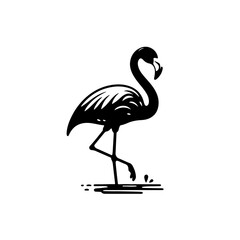 Fototapeta premium flamingo silhouette , flamingo vector