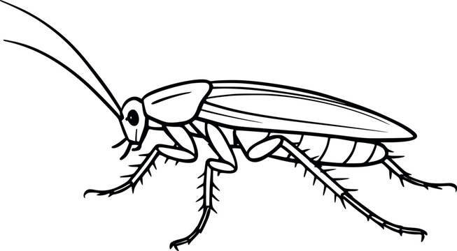 black and white cockroach insect clip art preview