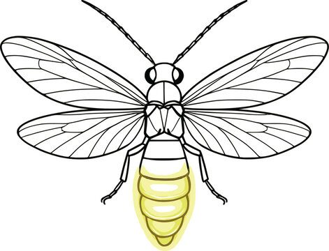 glowing firefly outline, black and white clip art preview