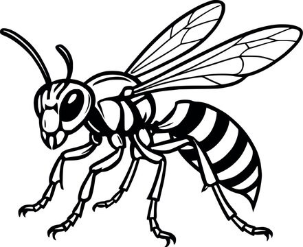 black and white wasp insect clip art preview