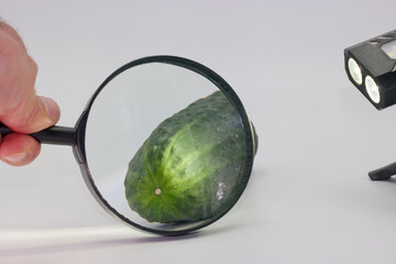 Exploring the details of a fresh cucumber under magnification and light in a bright workspace