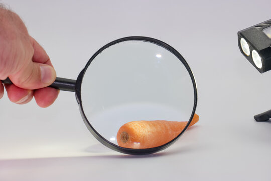 Exploring the details of a carrot through a magnifying glass with focused lighting in a bright environment - Powered by Adobe