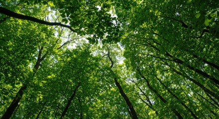Green graph displayed inside a transparent cube against a dark background.
