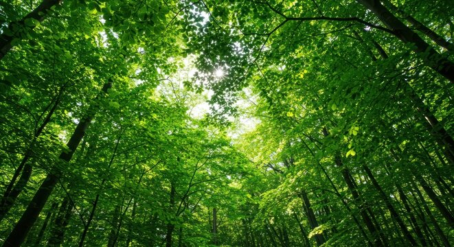 A cube with a green graph inside on a dark surface.