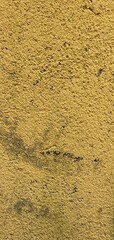 mold, fungus, mildew, yellow wall, decayed wall, texture, grunge, dirty surface, moldy texture, lichen, plaster wall, moisture damage, peeling surface, organic growth, infestation, horror texture, aba